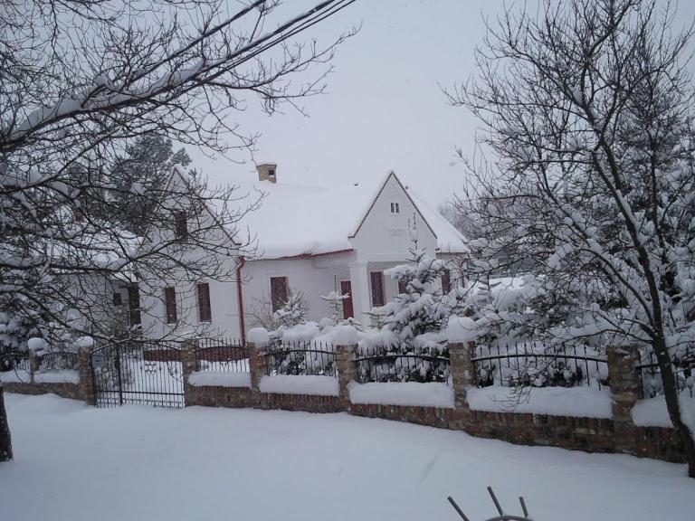 Park Vendeghaz Otel Herend Dış mekan fotoğraf
