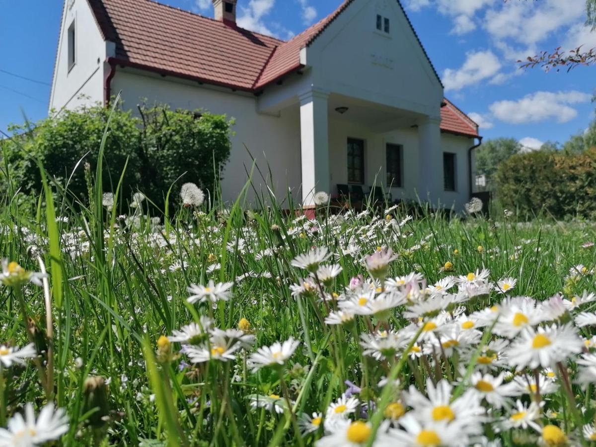 Park Vendeghaz Otel Herend Dış mekan fotoğraf